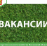 Министерство сельского хозяйства Пензенской области объявляет о вакансии - Минсельхоз