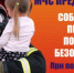 МЧС призывает к строгому соблюдению правил безопасности - Газета Родная земля