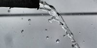 Фото: https://pxhere.com/ - Penza-Post.Ru