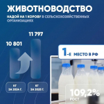 Олег Мельниченко поручил направить более 2 млрд рублей на поддержку аграриев