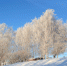 В Пензенской области ночью и утром 4 февраля ожидается до -32°C. Фото из архива ИА «PenzaNews» - ИА PenzaNews