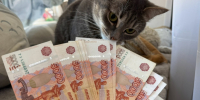 В Пензенской области родители-студенты могут получить 200 тыс. рублей при рождении ребенка - Progorod58.Ru