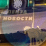 Появились подробности ДТП со сбитой в центре Пензы женщиной - 1Pnz.Ru
