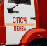 Под Пензой огонь уничтожил частный дом: погиб молодой мужчина - 1Pnz.Ru