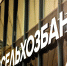 Агротехнологии опережающего развития могут повысить рентабельность растениеводства более чем на 21% - РСХБ - Минсельхоз