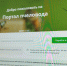Россельхознадзор ввел в эксплуатацию  «Портал пчеловода» - Минсельхоз