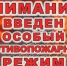 В Пензенском районе установлен особый противопожарный режим - Пензенский район