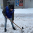 img - ЛДПР