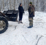С начала года в Пензенской области выявили 24 нарушения лесного законодательства - Stolica58.Ru