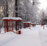 Фото: https://uprgkh.pnzreg.ru/ - Penza-Post.Ru