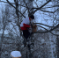 img - ЛДПР