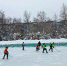 В городе Пензе состоится турнир по хоккею с мячом среди школьных и дворовых команд Первомайского района - Комитет по физкультуре и спорту