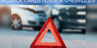 В Пензе ищут водителя, сбившего животное на трассе М5 - 1Pnz.Ru
