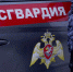 Фото: https://58.rosguard.gov.ru/ - Penza-Post.Ru