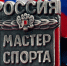 Список мастеров спорта в области пополнился четырьмя именами - Progorod58.Ru