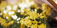 Губернатор Олег Мельниченко поздравил жительниц Пензенской области с 8 Марта - ПензаСМИ