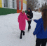 img - ЛДПР