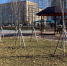 В Пензенской области в рамках акции «Сад памяти» будет высажено более 37 тысяч сеянцев сосны и дуба - Progorod58.Ru