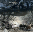 Фото: gorodkuzneck.ru - Penza-Post.Ru