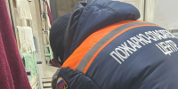 Пензенские спасатели смогли освободить палец ребенка из пластикового хомута - Progorod58.Ru