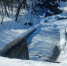 Фото: https://minleshoz.pnzreg.ru/ - Penza-Post.Ru