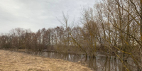 Сурское водохранилище заполнено на 50% - ПензаСМИ