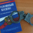 Жительница Колышлейского района ударила и оскорбила инспектора ПДН - Пенза-Обзор