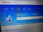 Названы самые популярные у пензенцев федеральные электронные услуги