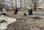Санитарная пятница в Пензе: какие работы организованы 3 апреля