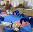 Почти 500 учеников школы имени Суркова посещали кружки на каникулах - Stolica58.Ru