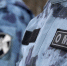 Фото: https://58.rosguard.gov.ru/ - Penza-Post.Ru