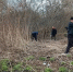 Фото: https://www.penza-gorod.ru/ - Penza-Post.Ru