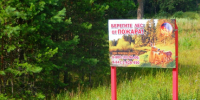 Фото: https://pnzreg.ru/ - Penza-Post.Ru