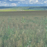 Фото: fsvps.gov.ru - Penza-Post.Ru
