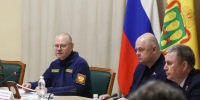 Пензенцев пригласили на акцию по посадке деревьев в разных районах города - Stolica58.Ru
