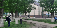 Жителей Пензенской области приглашают присоединиться к Всероссийскому субботнику - Газета Родная земля