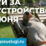 Голосуем за благоустройство! - ПГТА