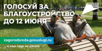 Голосуем за благоустройство! - ПГТА