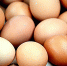 В Пензенской области подорожали яйца и плодоовощная продукция - Пенза-Обзор