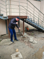 Сотрудники Минсельхоза Пензенской области приняли участие в областном субботнике