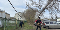 Сотрудники Министерства региональной безопасности приняли участие в общегородском субботнике - Министерство региональной безопасности