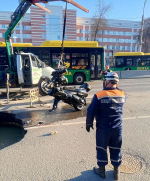 Пропал на проспекте Победы в Пензе (3).jpg