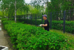 С улиц Железнодорожного района вывезли более 86 кубометров мусора