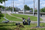 Участие в субботнике приняло более 13,5 тысячи человек