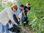 Участие в субботнике приняло более 13,5 тысячи человек