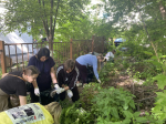 Участие в субботнике приняло более 13,5 тысячи человек