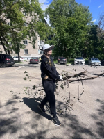 Участие в субботнике приняло более 13,5 тысячи человек