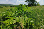 Фото: 64.fsvps.gov.ru