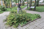 Фото Игоря Пантюшова