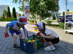Познавательно-развлекательная программа «Чемпионы лета»